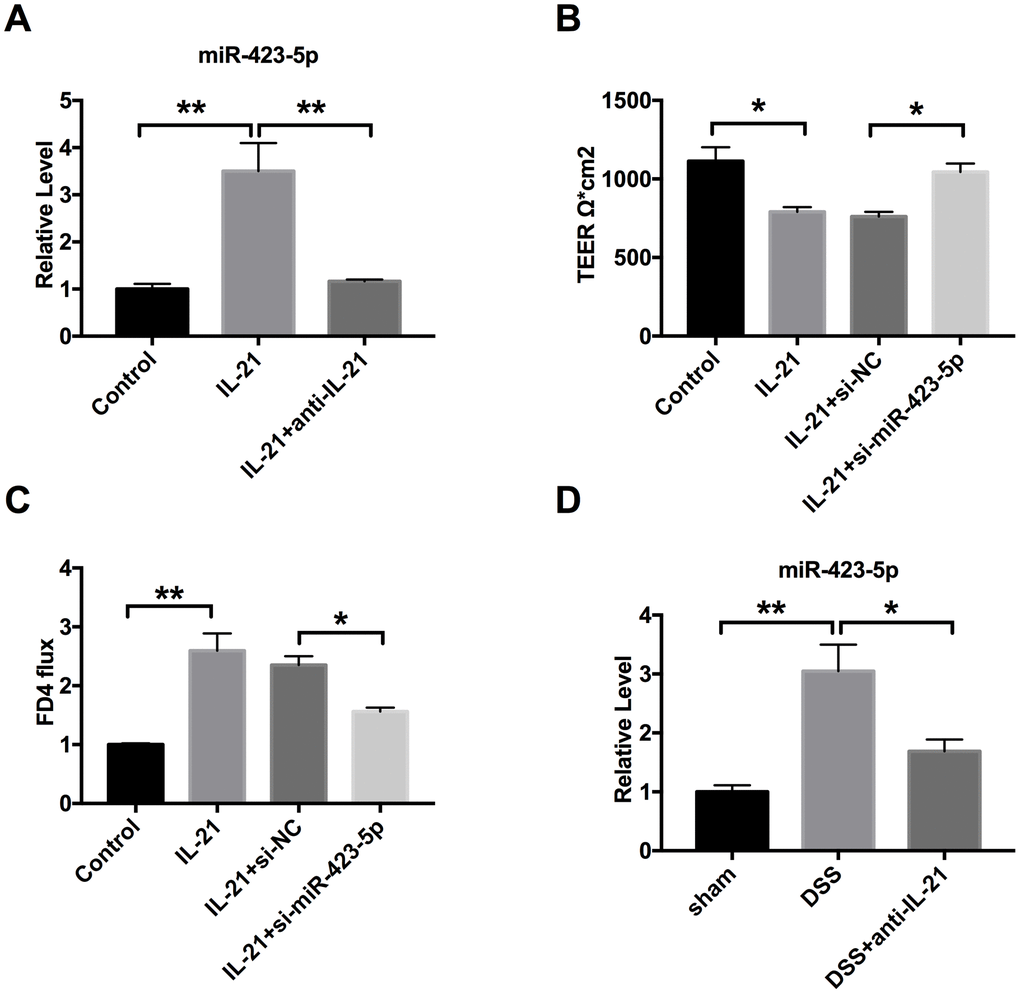 IL-21 regulates miR-423-5p in UC. (A) The expression of miR-423-5p in colorectal epithelial cell lines. n=8. (B) TEER was determined in Caco-2 cells. n=4. (C) The FD4 level was detected after si-miR-423-5p/si-NC transfection in IL-21 treated cells. n=5. (D) The expression of miR-423-5p in different groups. n=7. *P P 