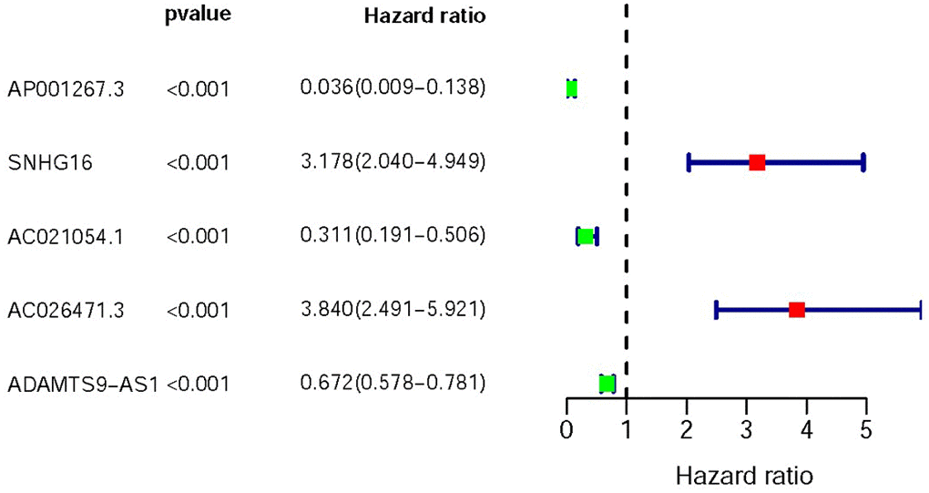 Survival-related values of sIRlncRs. Forest plot of hazard ratios showing the survival-related values of sIRlncRs (AP001267.3, SNHG16, AC021051.1, AC026471.3 and ADAMTS9-AS1). Red parts represent upregulated sIRlncRs, and green parts represent downregulated sIRlncRs.