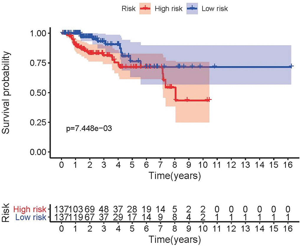 Survival curve of pRCC patients. Kaplan-Meier survival curve of OS among pRCC patients from the low-risk group and the high-risk group. The high-risk group showed the poorer prognosis.