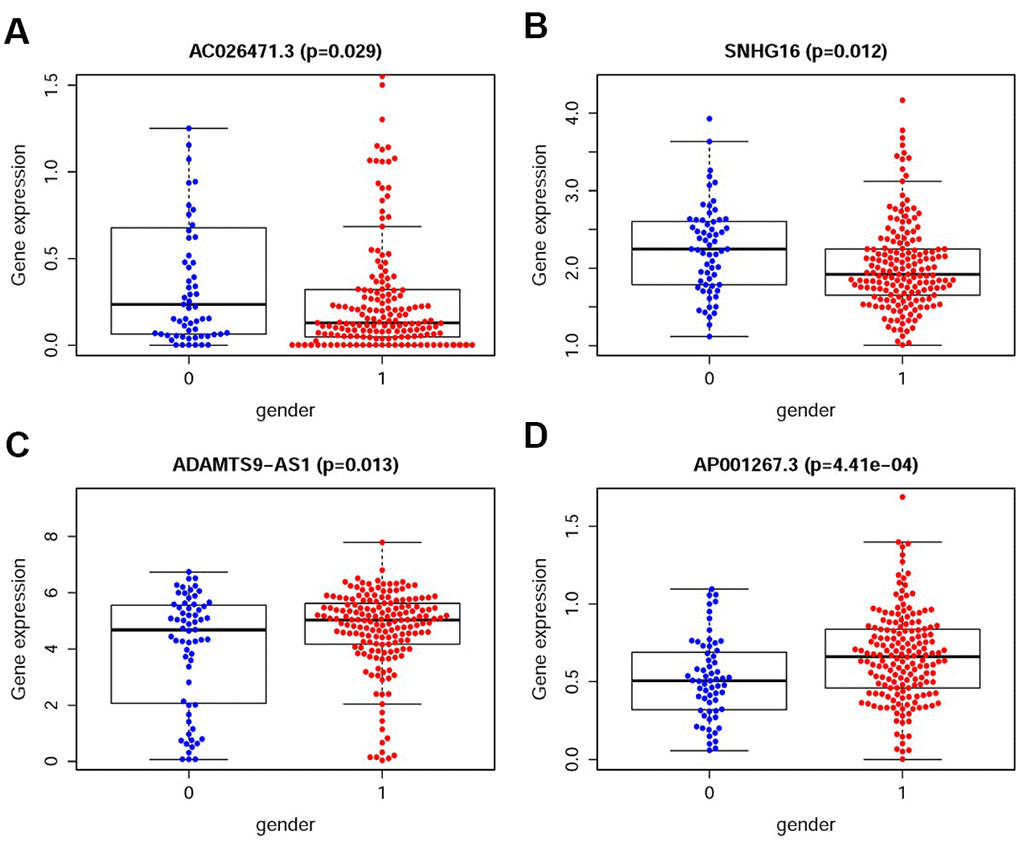 The relationships between the sIRlncRs and gender. The expression of AC026471.3 (A) and SNHG16 (B) were lower in male patients. The expression of ADAMTS9-AS1 (C) and AP001267.3 (D) were lower in female patients. (0=Female patients; 1=Male patients).