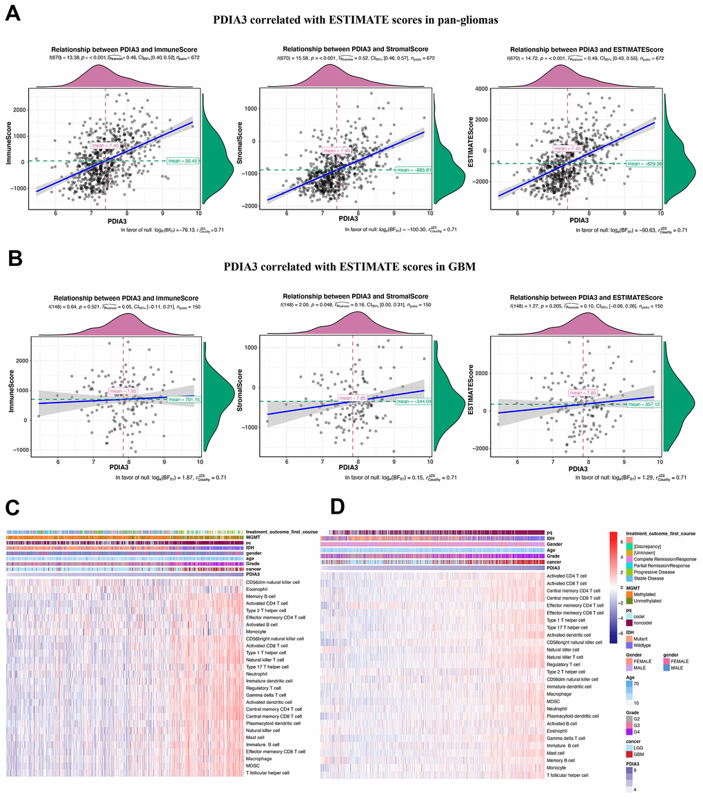 Relationship between PDIA3 expression and ESTIMATE scores in gliomas. PDIA3 expression was positively associated with immune score, stromal score and ESTIMATE score in (A) pan-glioma and (B). GBM patients. Heatmaps illustrate PDIA3 related specific infiltrating cell types based on (C). TCGA and (D). CGGA pan-glioma data.