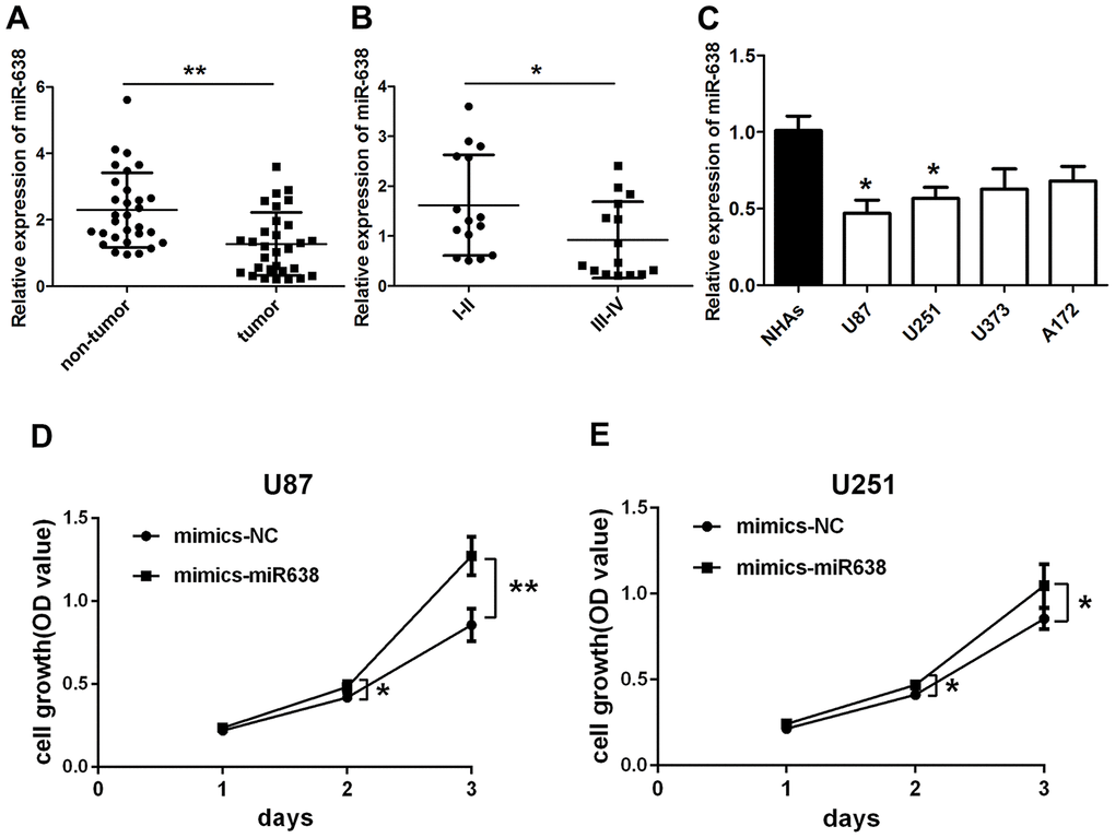 Overexpression of miR-638 promotes glioma cell growth. qRT-PCR results for (A) miR-638 expression in glioma tumor tissues and their paired adjacent non-tumor tissues. Results represent the mean±SD for three independent experiments (N=30, **pt-test); (B) miR-638 expression in glioma tissues of different grades. Results represent the mean±SD for three independent experiments (N=15 (I-II), N=15 (III-IV), *pt-test); (C) miR-638 expression in four glioma cell lines and NHAs cells. Results represent the mean±SD for three independent experiments (*pD, E) U87 and U251 cells were transfected with miR-638 mimics. Cell growth was determined using CCK-8 assay. Results represent the mean±SD for three independent experiments (*pt-test).