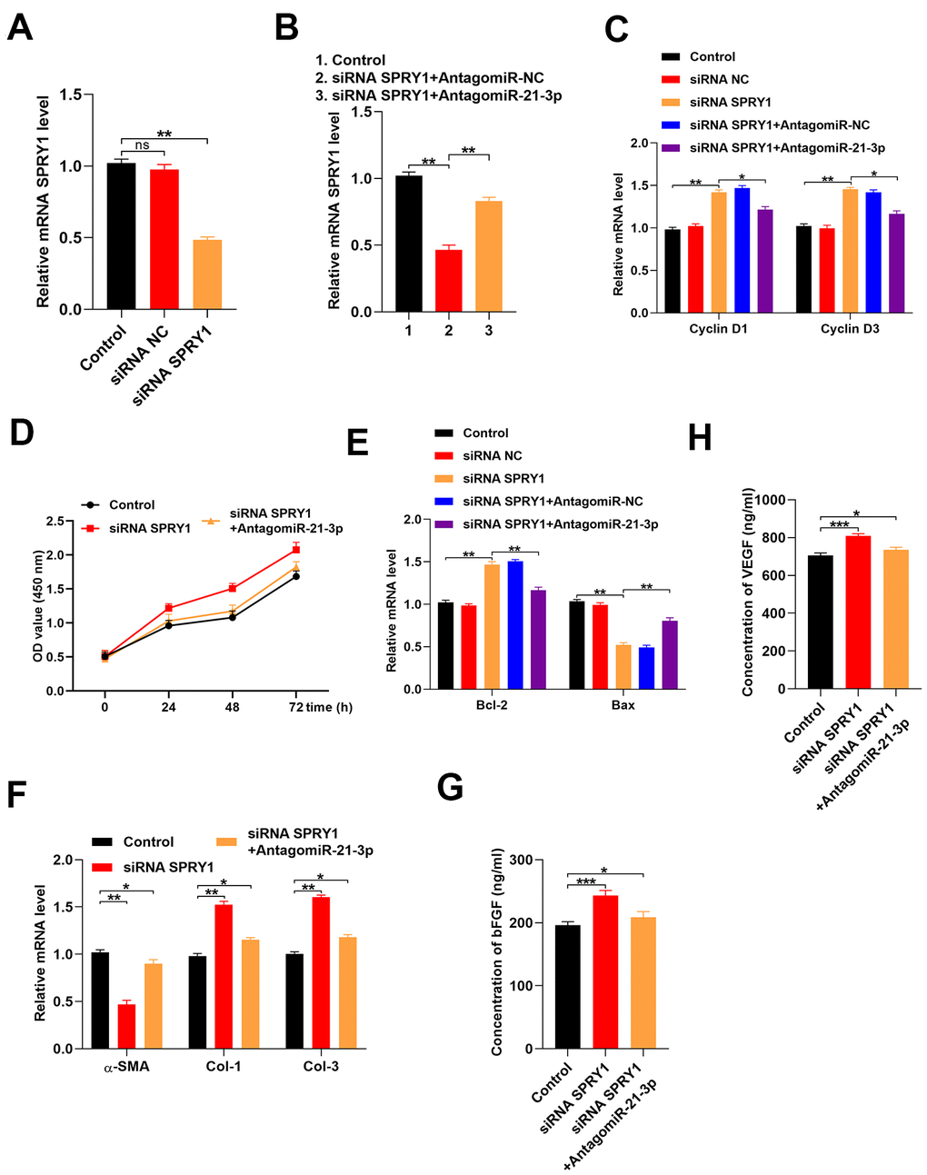 Reduction of SPRY1 enhances fibroblast function. (A, B) The level of mRNA SPRY1 in the different groups was measured by qRT-PCR; (C) The levels of cyclin D1 and cyclin D3 mRNA in the different groups were measured by qRT-PCR; (D) CCK-8 assay detected the proliferative ability of fibroblasts in the different groups; (E) The levels of Bcl-2 and Bax mRNA in the different groups were measured by qRT-PCR; (F) The levels of α-SMA, Col 1, and Col 3 mRNA in the different groups were measured by qRT-PCR; (G, H) The concentrations of bFGF and VEGF were measured by ELISA. Data are presented as the mean ± SD from three independent experiments. *p 