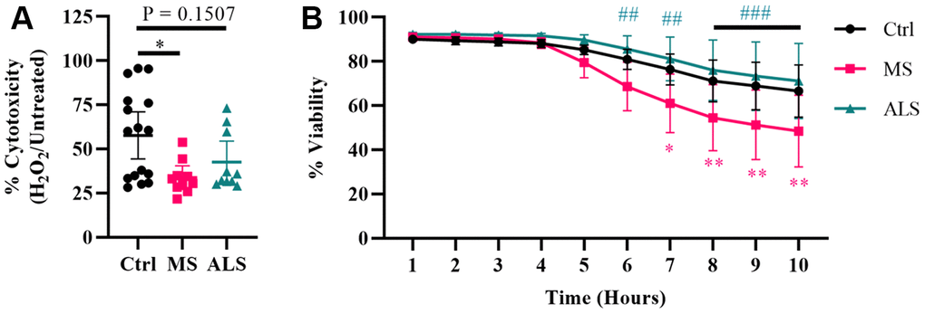 Skin fibroblasts from MS patients have reduced resiliency. Skin fibroblasts were cultured in standard media for 24 hours prior to the assay. (A) Cells were treated with 200 μM hydrogen peroxide for two hours followed by incubation with MTT reagent for an additional two hours (Ctrl, n = 16; MS, n = 10; ALS, n = 10). All cells were lysed and the resulting formazan crystals were solubilized prior to measurement. The percent cytotoxicity was determined using a ratio between treated and untreated cells. Each data point represents a unique cell line and is the average of all measurements. The 95% confidence interval is shown. Significance was determined using one-way ANOVA post hoc Tukey test. (B) Skin fibroblasts were treated with 200 μM hydrogen peroxide for ten hours (Ctrl, n = 13; MS, n = 8; ALS, n = 10). Fluorescence data using the CellTox Green assay was measured every hour. Eight unique cell lines per group were used. Percent viability is relative to the one hour time reference. The data represents the average of all measurements with the 95% confidence interval shown. Significance was determined using two-way ANOVA post hoc Tukey test. In (B), * indicates significance between Ctrl and MS, and # for MS and ALS. No significance was determined between Ctrl and ALS. *, P 2O2, hydrogen peroxide; MS, multiple sclerosis.