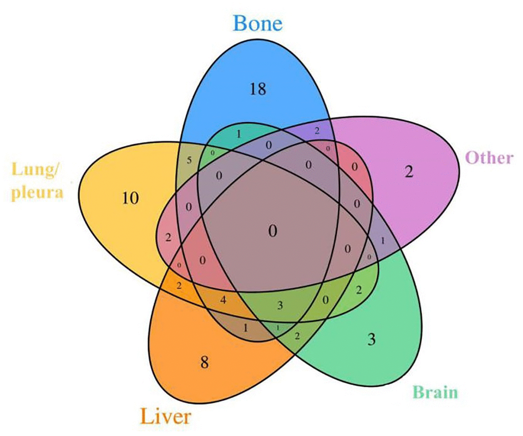 Venn diagrams showing intersections between different metastasis types used in our study. There were 26 cases of multiple organ metastases and 41 cases of single organ metastasis. Others include peritoneal (or mediastinal, ovarian, soft tissue) metastasis, pericardial effusion and lemostenosis.
