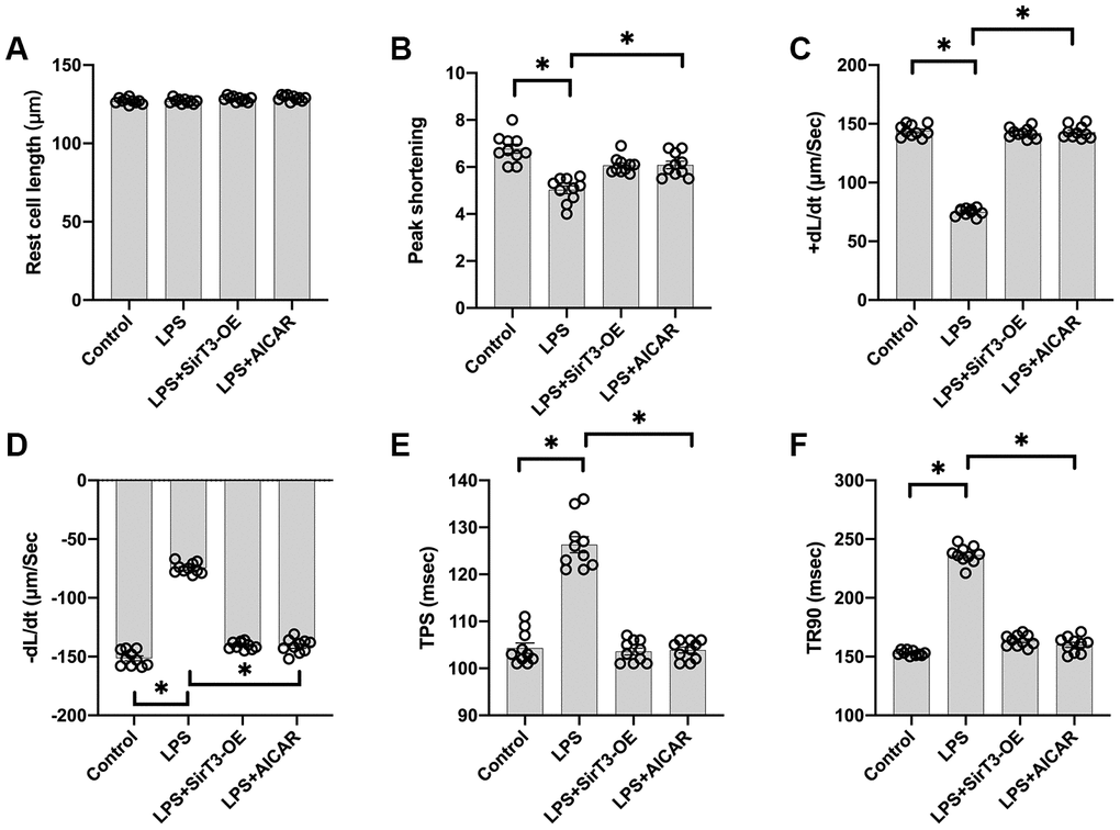 Overexpression of SirT3 or activation of AMPK attenuates LPS-mediated cardiomyocyte dysfunction. (A–F) Cardiomyocyte contractility in response to LPS treatment. Lentivirus-loaded SirT3 (SirT3-OE) and AMPK agonist (AICAR) were incubated with cardiomyocyte in the presence of LPS. +dL/dt is the maximal velocity of shortening. −dL/dt is the maximal velocity of relengthening. TPS, time to peak shortening; TR90, time to 90% relengthening. *P 