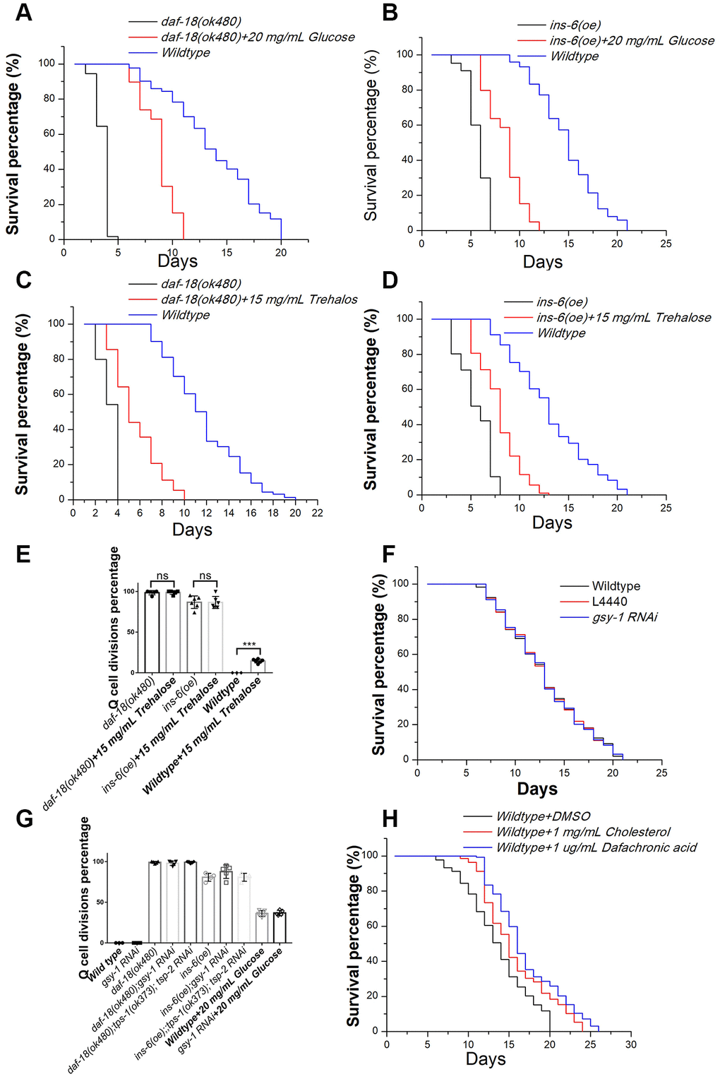 The effects of glucose, trehalose, cholesterol, and Δ7-dafachronic acid on the survival of L1-arrested worms. Glucose extends the longevity of L1-arrested ins-6 (oe) (A) and daf-18 mutants (B). Trehalose extends the longevity of L1-arrested ins-6 (oe) (C) and daf-18 mutants (D). (E) Trehalose has no suppression function on Q-cell proliferation; in contrast, it can induce Q-cell proliferation in wild-type L1-arrested worms. Data are the average of at least three independent experiments. Error bars: Standard Deviation (SD).***: PF) The glycogen synthesis controlling gene gsy-1 has no effect on the survival of L1-arrested worms. (G) The glycogen and trehalose synthesis controlling genes gsy-1 and tps-1/2 have no effect on the Q-cell divisions in daf-18 (-), ins-6 (oe), and wild-type L1-arrested worms. (H) Cholesterol and dafchronic acid can extend the survival of wild-type L1-arrested worms. Survival of these worms was checked every day, and the mean survival rate was calculated using the Kaplan-Meier method, and any significant difference in overall survival rates was determined using the log-rank test (P-value; see Supplementary Table 1).