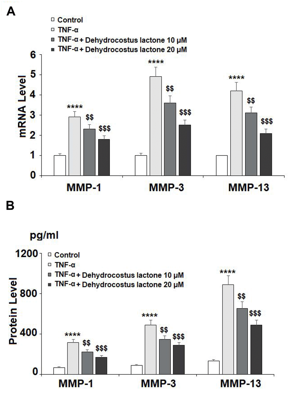 DHC reduced TNF-α- induced expression of MMP-1, MMP-3, and MMP-13. Cells were stimulated with TNF-α (10 ng/ml) in the presence or absence of 10 and 20 μM for 24 h. (A). mRNA of MMP-1, MMP-3, and MMP-13 as measured by real time PCR; (B). Protein of MMP-1, MMP-3, and MMP-13 as measured by ELISA (****, P