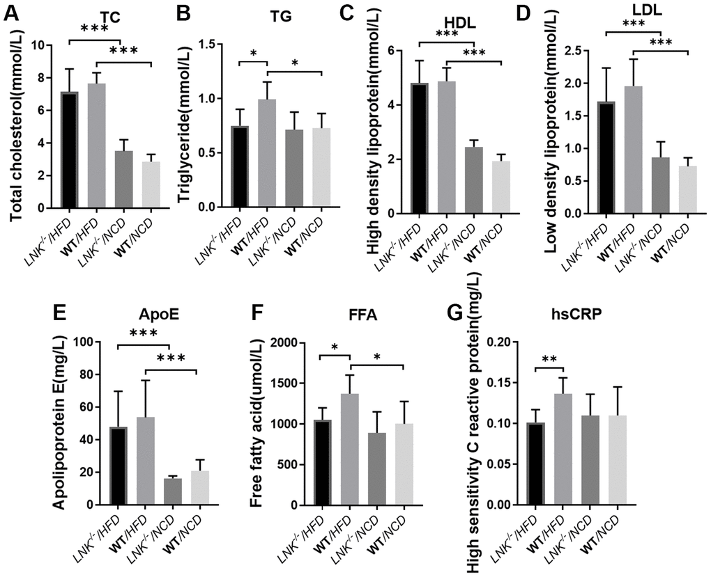 LNK deficiency influences adipose metabolism and systemic inflammation. Fasting total cholesterol (A), triglyceride (B), HDL (C), LDL (D), apolipoprotein (E), free fatty acid (F), high-sensitivity c-reactive protein (G) levels in mice serum at week 16 on the HFD or NCD feeding. HFD: LNK-/- n=7, WT n=6; NCD: LNK-/- n=6, WT n=7. Bars indicate mean ± SD. Statistical analysis was performed by One-way analysis of variance (ANOVA). *p p p 
