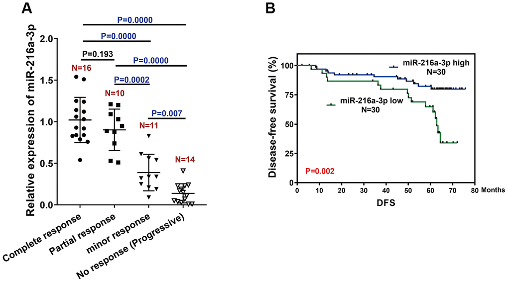 MiR-216-3p expression correlates with treatment response and prognosis of HCC patients treated with sorafenib. (A) Q-PCR analysis shows miR-216a-3p levels in pretreatment tumor tissues (biopsy) from patients showing different (poor, moderate or high) response to sorafenib treatment. As shown, patients with good response have significantly higher miR-216a-3p expression compared to those with poor response. (B) Kaplan Meier survival curve analysis shows disease-free survival of HCC patients with high or low miR-216-3p expression in the tumor tissues. As shown, DFS rates are significantly higher for HCC patients with high miR-216a-3p levels compared to those with low miR-216a-3p levels.