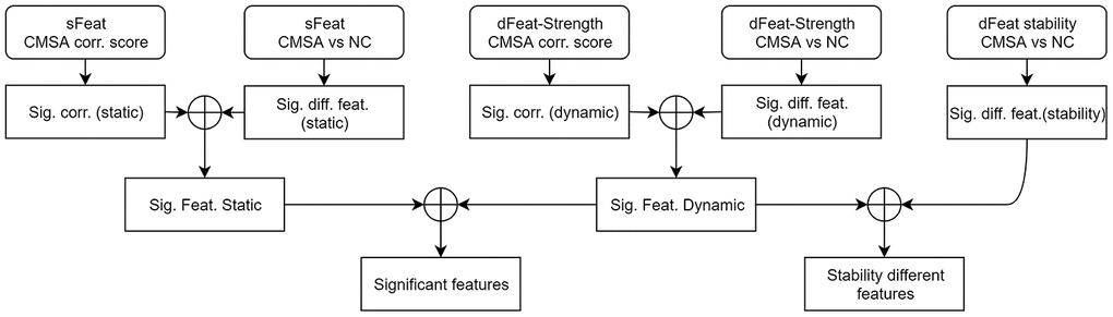 Statistical analysis procedure. At the first stage, comparison and correlation analysis was performed for static and dynamic features separately. At the second stage, significantly different and correlated features were combined. At the third stage, significant features found by static and dynamic functional connectivity were merged, as well as incorporating dynamic stability measurements. The circle-plus sign stands for intersection. sFeat, static feature; dFeat, dynamic feature; corr., correlate; Sig., significant; Feat, feature; diff, difference.