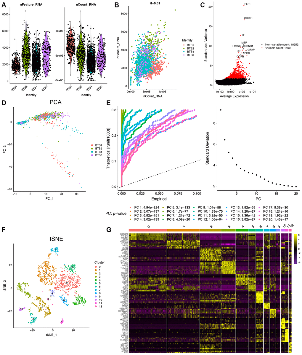 Identification of 13 cell clusters with diverse annotations revealing high cellular heterogeneity in GBM tumors based on single-cell RNA-seq data. (A) After quality control of the 2,343 cells from the tumor cores of 4 human GBM samples, 2,149 cells were included in the analysis. (B) The numbers of detected genes were significantly related to the sequencing depth, with a Pearson’s correlation coefficient of 0.61. (C) The variance diagram shows 19,752 corresponding genes throughout all cells from GBMs. The red dots represent highly variable genes, and the black dots represent nonvariable genes. The top 10 most variable genes are marked in the plot. (D) PCA did not demonstrate clear separations of cells in GBMs. (E) PCA identified the 20 PCs with an estimated P value F) The tSNE algorithm was applied for dimensionality reduction with the 20 PCs, and 13 cell clusters were successfully classified. (G) The differential analysis identified 8,025 marker genes. The top 20 marker genes of each cell cluster are displayed in the heatmap. A total of 96 genes are listed beside of the heatmap after omitting the same top marker genes among clusters. The colors from purple to yellow indicate the gene expression levels from low to high.