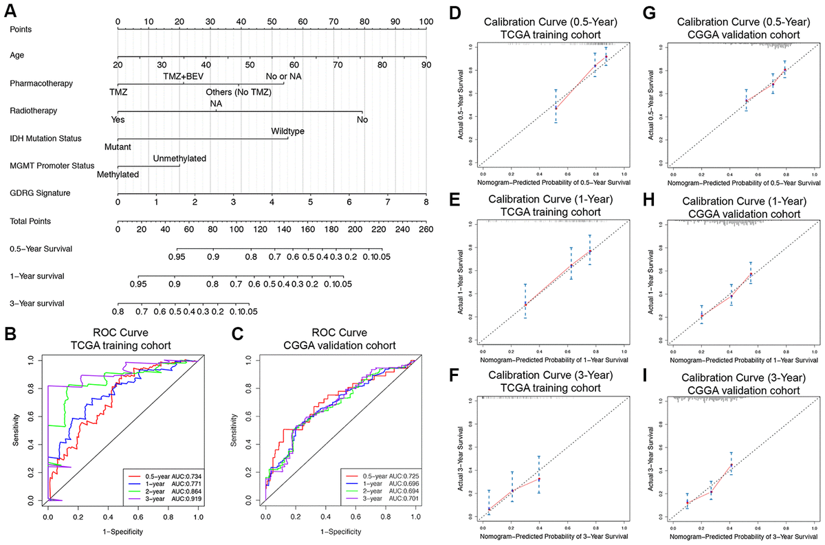 Glioblastoma Cell Differentiation Trajectory Predicts The Immunotherapy ...