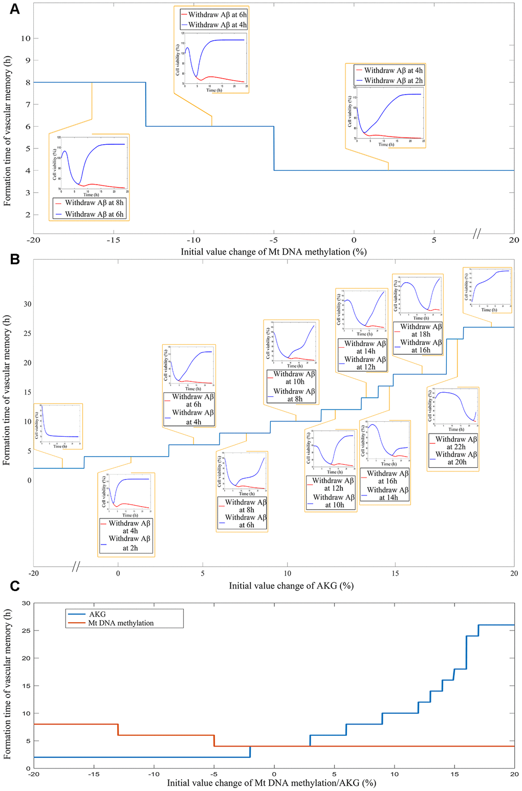 (A) The impact of different levels of mtDNA methylation on the cerebrovascular endothelial cell damage memory formation time. (B) The impact of different levels of AKG on the cerebrovascular endothelial cell damage memory formation time. (C) The summary plot of the impact of different levels of mtDNA methylation and AKG on the cerebrovascular endothelial cell damage memory formation time.