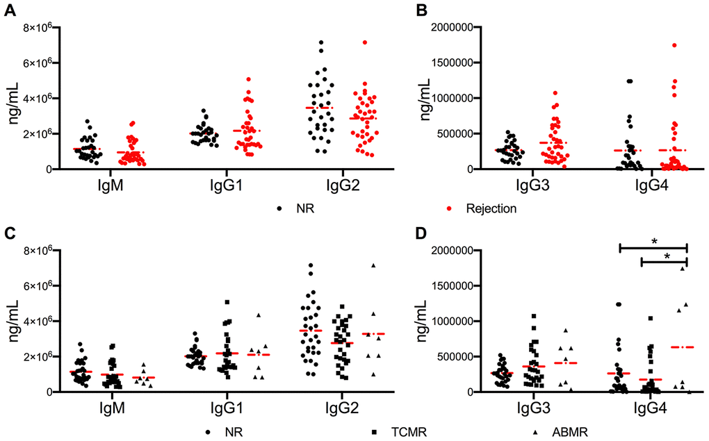 No significant difference in antibody class switching between NR and active rejection cohorts was observed. (A, B) Levels of IgM and IgG1-4 in NR (n =30) and rejection (n = 35) groups. (C, D) Levels of IgM and IgG1-4 in NR (n =30), TCMR (n = 28), and ABMR (n = 7) cohorts. The dash dot line represents the mean value. The difference among the three subgroups was analyzed using one-way ANOVA. *P 
