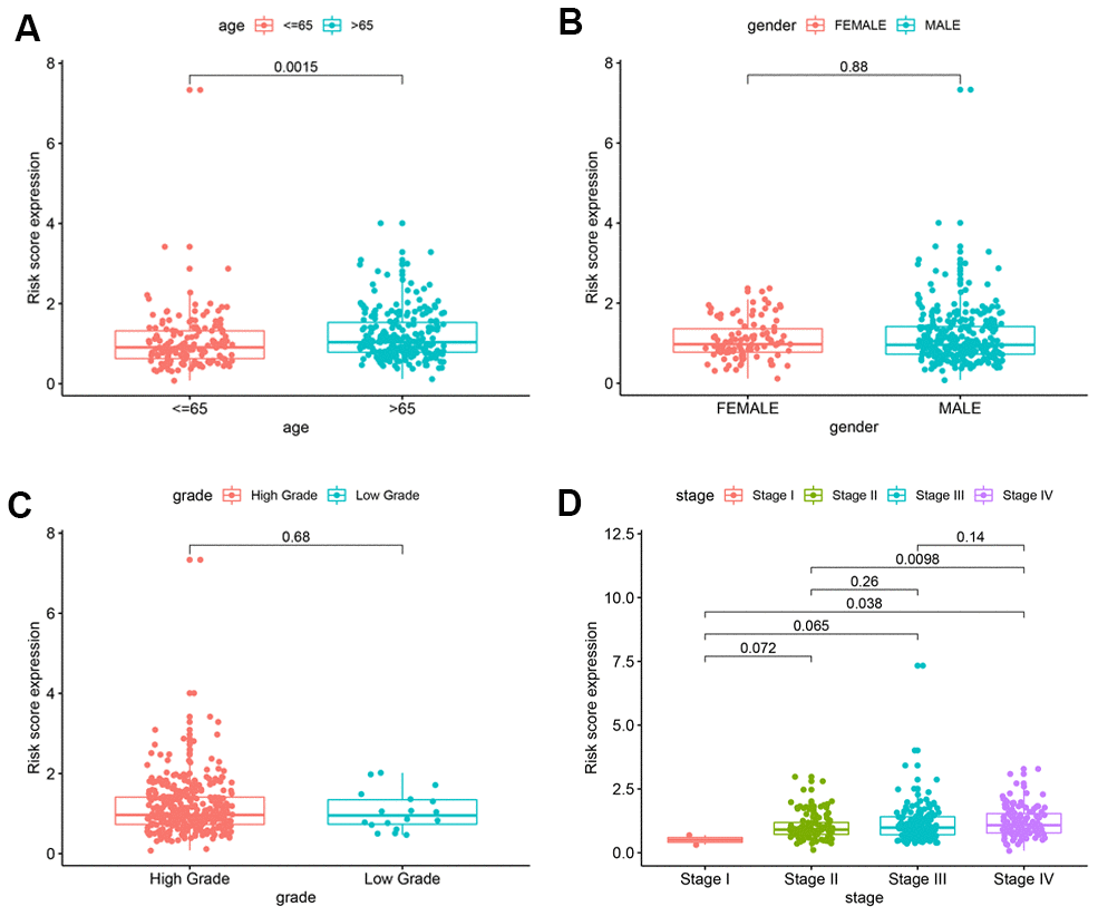 Correlation analyses of the autophagy-related lncRNA prognostic signature with various clinicopathological characteristics of the BCLA patients. The analysis compares the expression of the 5 prognostic lncRNAs in the BCLA patient cohort from the TCGA database stratified according to (A) age (B) gender (male, n = 291 vs. female, n = 102); (C) tumor grades (high grade, n = 372; low grade, n = 18); and (D) AJCC stages (stages I/II, n = 115; stages III/IV, n = 266).