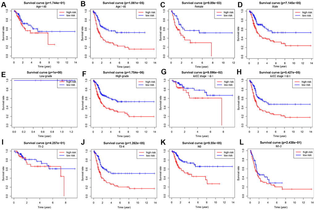 The survival rates of high- and low-risk BCLA patients stratified by different clinicopathological characteristics. Kaplan Meier survival curve analysis shows overall survival (OS) rates of high- and low-risk BCLA patients from the TCGA database stratified by (A, B) age (≤ 65 y vs. > 65 y), (C, D) gender (male vs. female), (E, F) tumor grades (high grade vs. low grade), (G, H) AJCC stages (stages I and II vs. stages III and IV), (I, J) T stages (T1/T2 vs. T3/T4), and (K-L) N stages (N0 vs. N1/N2/N3).