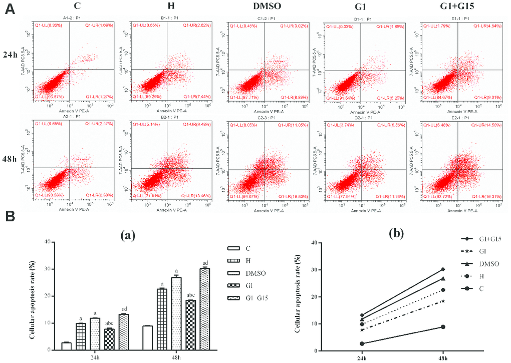 GPER activation reduces apoptosis of hyperoxia-treated primary retinal microglia. (A) Representative FACS plots and (B) Histograms show the percent apoptotic cells of primary retinal microglial cells in the (a) control (C), (b) hyperoxia (H), (c) hyperoxia+DMSO (DMSO), (d) hyperoxia+G-1 (G-1), and (e) hyperoxia+G-1+G-15 (G-1+G-15) groups at 24 and 48 h. The cells were stained with Annexin V-PE and 7-AAD. The percentage of apoptotic cells included Annexin-V+ AAD+ plus Annexin-V+ AAD- cell. P