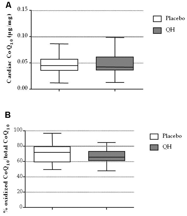 Cardiac CoQ10 levels (A) and its oxidative status (B) in placebo (white) and QH treated (grey) groups.
