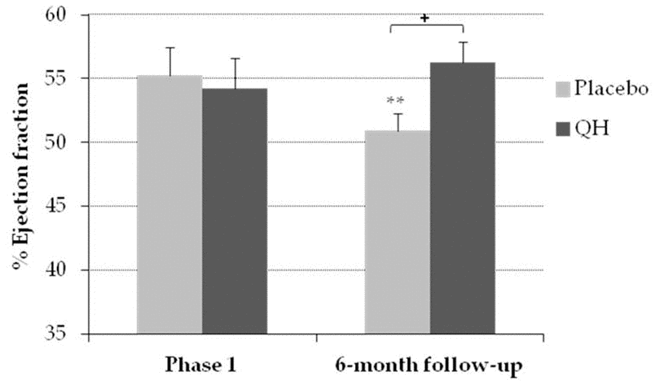 Percentage of ejection fraction in placebo (grey) and QH treated (black) group in phase 1 and following 6-month follow-up. **p≤0.01 significance of differences in each experimental group in comparison with phase 1; + p≤0.05 significance of differences between both groups in the follow-up.