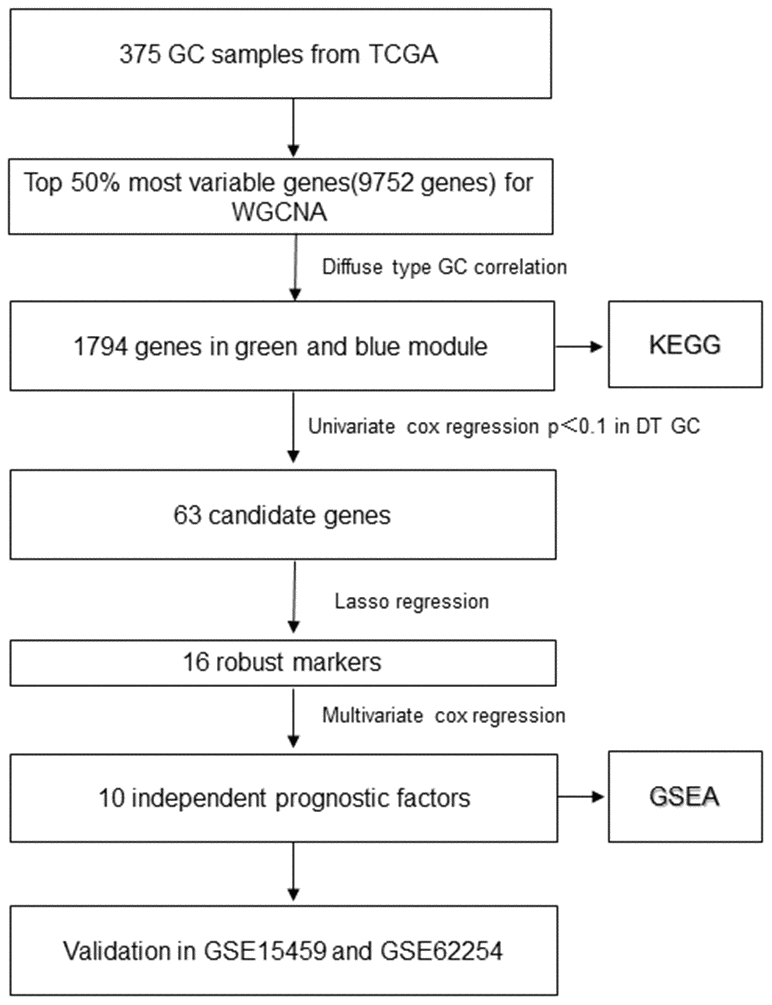 The flowchart of identifying procedure for the multi-gene signatures in diffuse type GC.