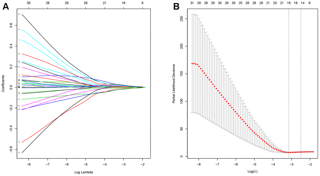 Identification of hub genes using LASSO regression. (A) The trajectory of each prognosis-related candidate gene’s coefficient in diffuse type GC was observed in the LASSO coefficient profiles with the changing of the lambda in LASSO algorithm. (B) After the 10-fold cross-validation, a confidence interval was got for partial likelihood deviance as the lambda changed.