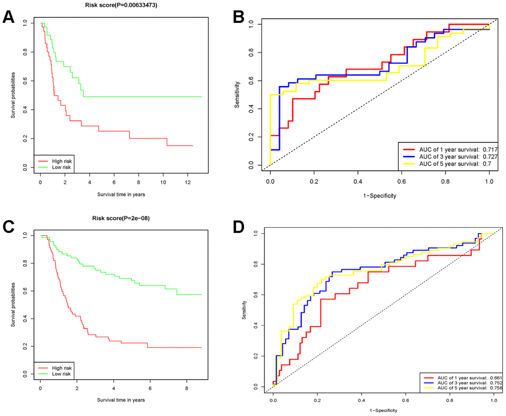 The prognostic performance of the 10 genes model in the GSE15459 and GSE62254. (A) Survival analysis of the high-risk group and the low-risk group using Kaplan-Meier curves in the GSE15459. (B) The prognostic efficiency of the 10 genes model for survival time. ROC curves of the 10 genes signature for predicting 1-, 3 -and 5- year survival were analyzed in the GSE15459. (C) Survival analysis of the high-risk group and the low-risk group using Kaplan-Meier curves in the GSE62254. (D) The prognostic efficiency of the 10 genes model for survival time. ROC curves of the 10 genes signature for predicting 1-, 3 -and 5- year survival were analyzed in the GSE62254.