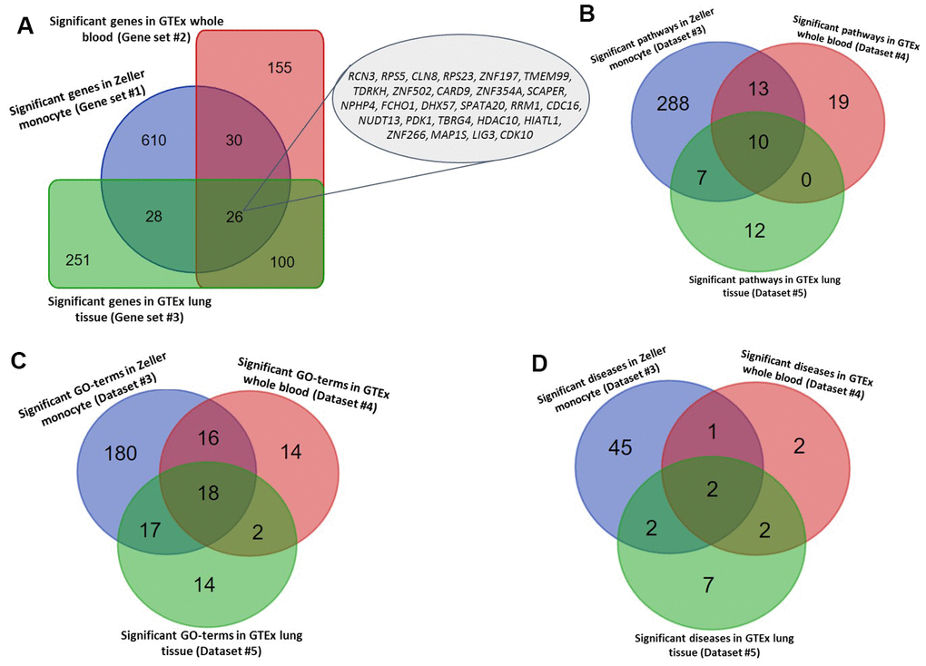 Identified tuberculosis-related risk genes, pathways, and GO-terms. (A) Common significant genes identified from the Sherlock analysis based on Gene sets #1, #2, and #3. (B) Common significant pathways enriched by genes identified from the Sherlock analysis cross 3 gene sets (i.e., Gene sets #1, #2, and #3). (C) Common significant GO-terms enriched by genes identified from the Sherlock analysis cross 3 gene sets (i.e., Gene sets #1, #2, and #3). (D) Common significant KEGG or NHGRI GWAS Catalog diseases enriched by genes identified from the Sherlock analysis cross 3 gene sets (i.e., Gene sets #1, #2, and #3).
