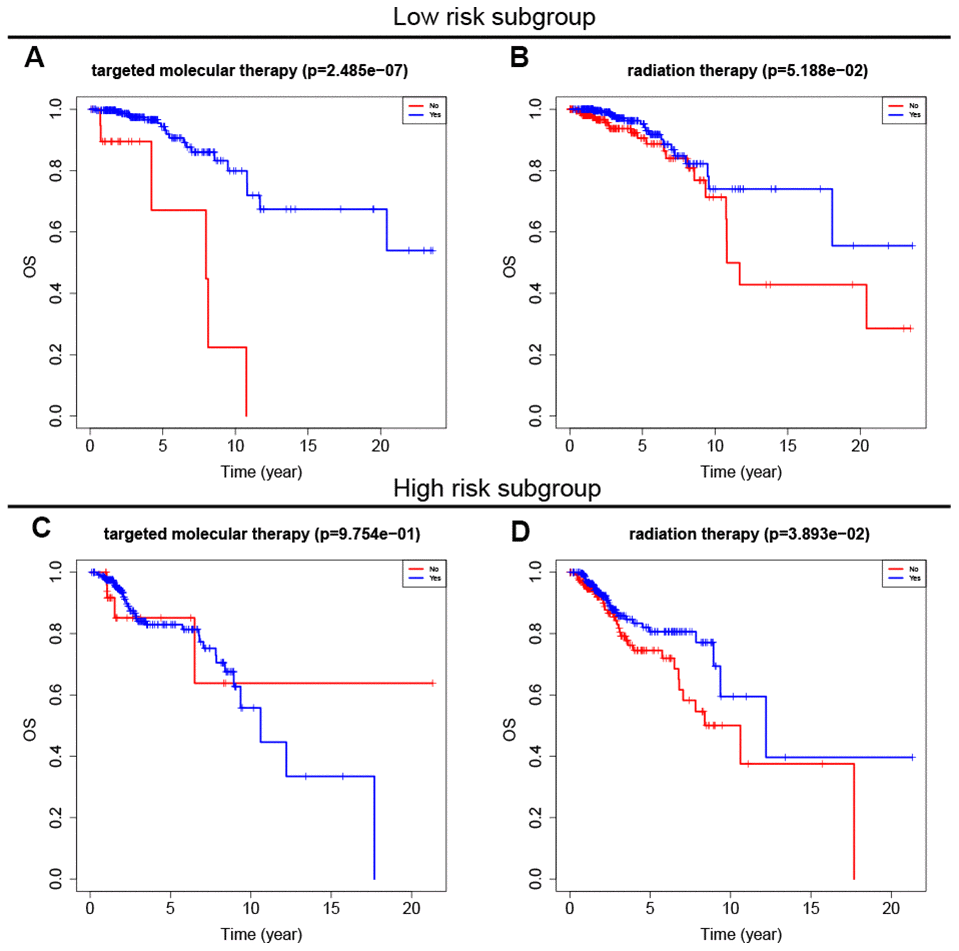 Survival analysis of adjuvant therapy in high- and low-risk patients. (A, B) Survival analysis of targeted molecular therapy and radiation in low-risk patients. (C, D) Survival analysis of targeted molecular therapy and radiation in high-risk patients.