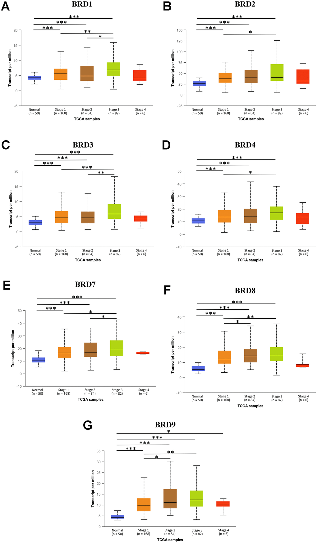 The association between mRNA expression of 7 distinct BRD-containing protein genes and individual HCC cancer stages from TCGA database (UALCAN). mRNA expressions of 7 BRD-containing protein genes were significantly associated with patients’ individual cancer stages. Patients with a more advanced stage of HCC had a tendency to express higher mRNA levels. The highest mRNA expressions of BRD1/2/3/4/7/8/9 were observed in stage 3 (A–G). *P P P 