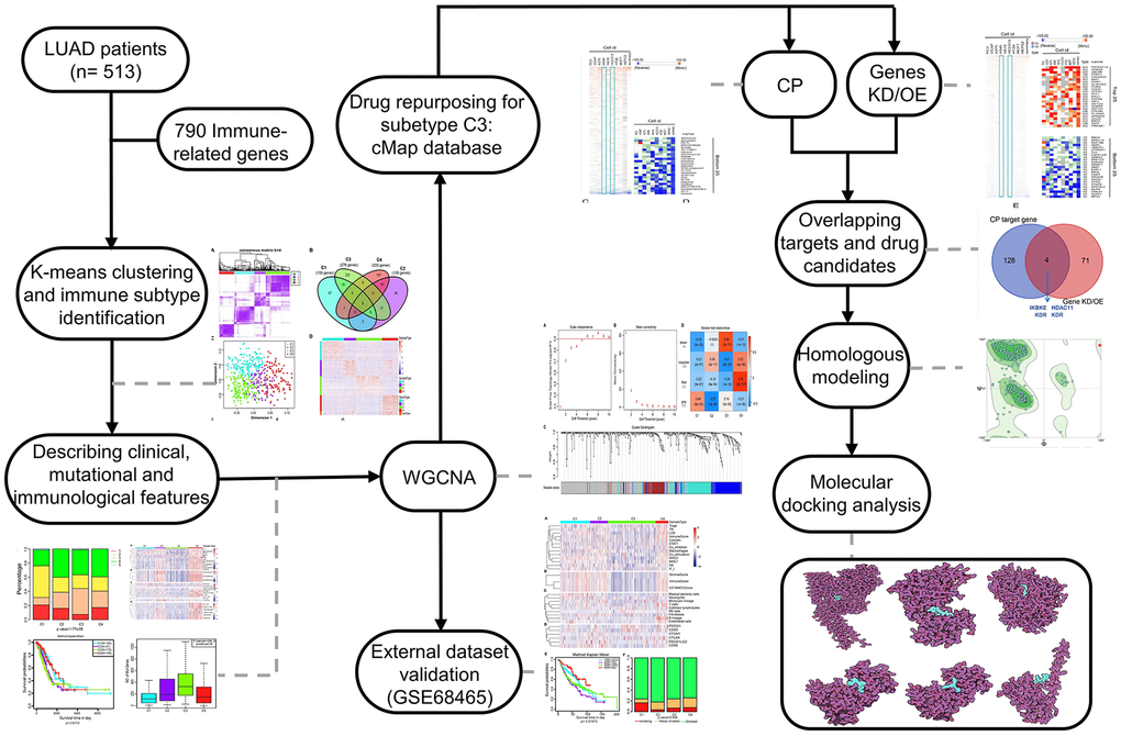 The workflow of the study. CMap, connectivity Map; WGCNA, Weighted correlation network analysis; CP, compound; Genes KD/OE, genes knockdown/overexpress.
