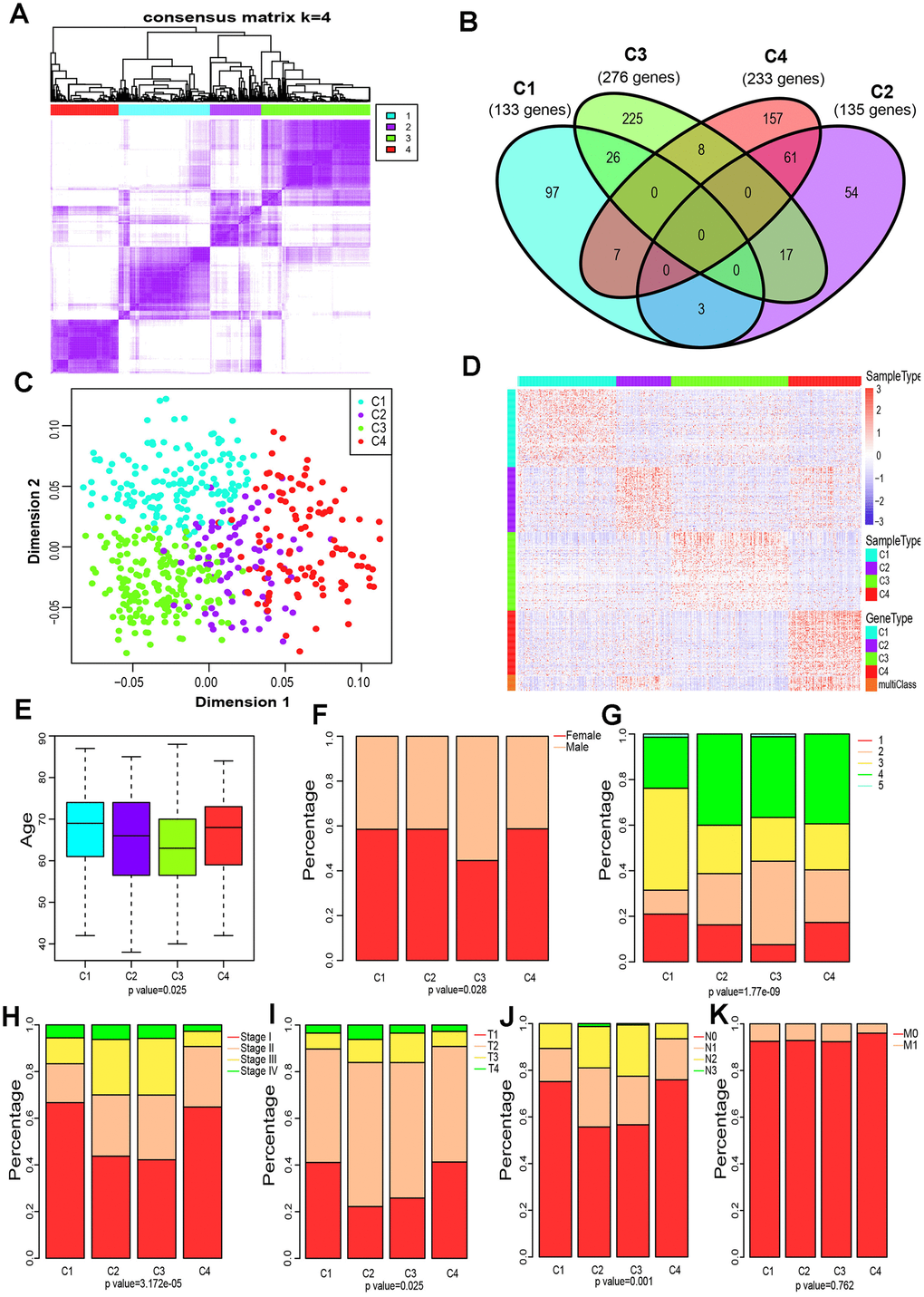 Four immune subtypes of LUAD in TCGA cohort and their clinical profiles. (A) Heatmap of consensus values when k=4. (B) Venn diagram showing the upregulated genes (FDR C) The scatter plot of the top 100 upregulated genes in each cluster, distinguished by the first two principal components (PCs). (D) Gene expression profile of the top 100 upregulated genes in each cluster. Heat maps showing relative gene expression values, red indicates high expression, and blue indicates low expression. (E) Age at diagnosis of the four subtypes (Kruskal-Wallis test). The Boxplot centerlines indicating the median value; box limits show the 25th (Q1) and 75th (Q3) percentiles, lower and upper whiskers extend 1.5 times the interquartile range (IQR) from Q1 and Q3, respectively. (F) Distribution of gender among the four subtypes (chi-square test). (G) Distribution of smoking status across the four subtypes (chi-square test). (H) Distribution of stage at diagnosis in the four subtypes (chi-square test). (I) The degree of progression of the primary tumor (T) at diagnosis in the four subtypes (chi-square test). (J) The degree of the invasion of regional lymph nodes (N) at diagnosis among the four subtypes (chi-square test). (K) Incidence of metastatic (M) dissemination at diagnosis among the four subtypes (chi-square test).