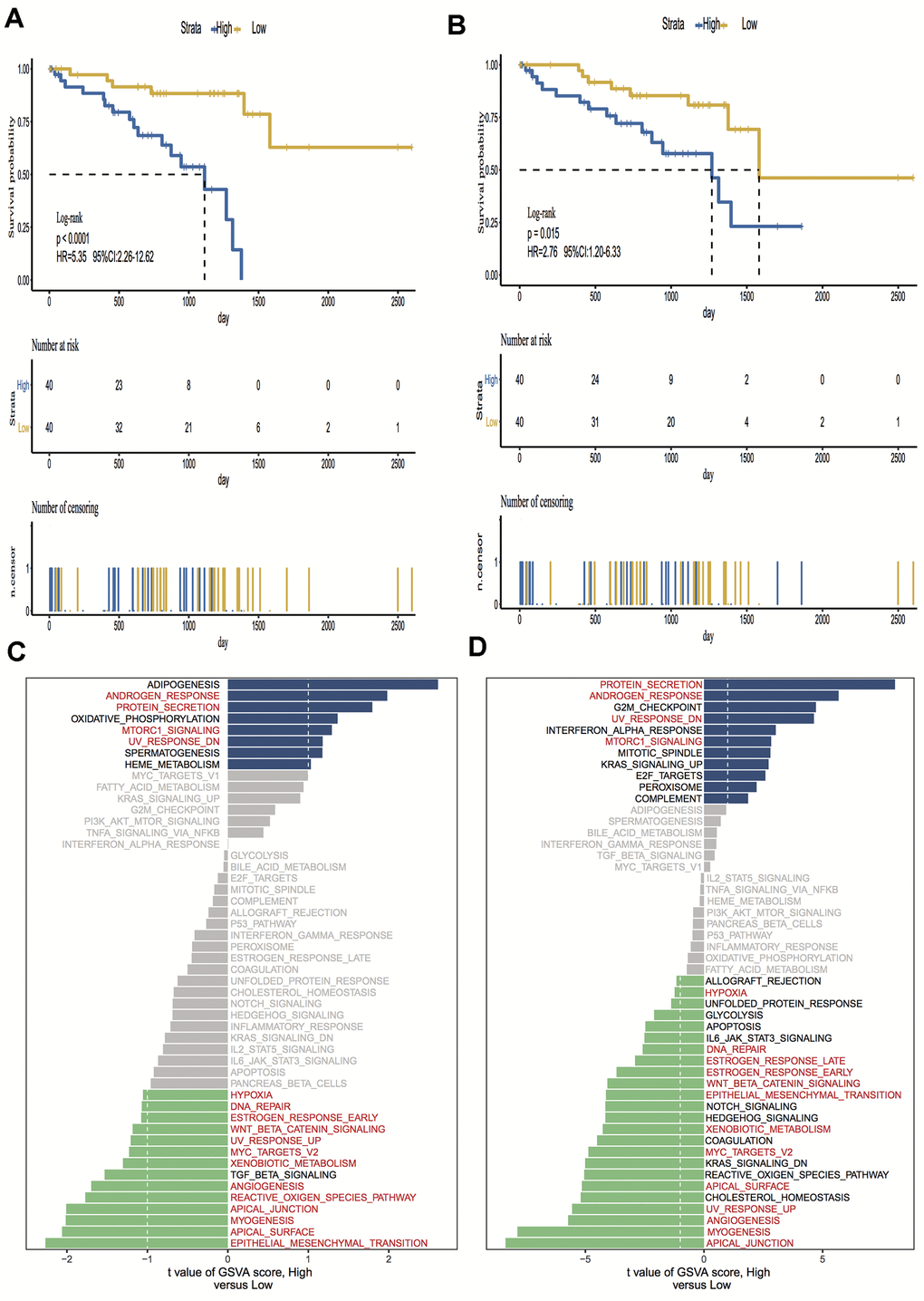 Kaplan-Meier survival analysis and Gene set variation analysis (GSVA) of high vs. low immune scores/stromal scores groups. (A, B) Overall survival among patients with uveal melanoma (UM) based on their immune and stromal scores; (C, D) Differential pathway activities between high and low immune and stromal scores groups, the same pathways are marked in red in the immune and stromal groups. Hazard ratios (HRs) and 95% CIs are for high vs low immune and stromal risk. The log-rank test was used to calculate P values in comparing risk groups.