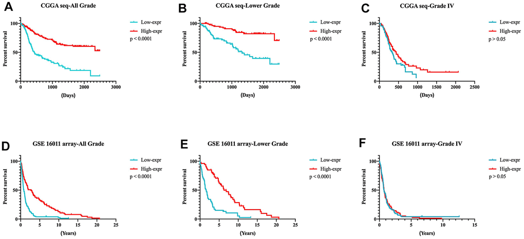 Prognostic significance of DZIP3 in all-grade, lower-grade and GBM groups. (A–C) CGGA RNA-seq cohort; (D–F) GSE 16011 array cohort.