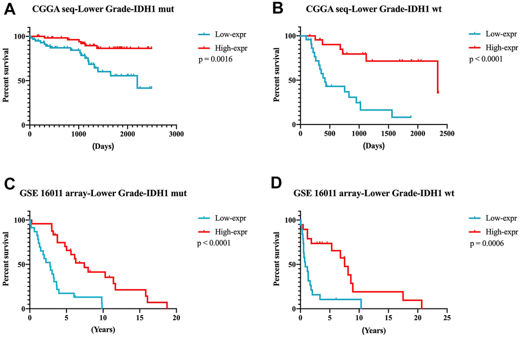 DZIP3 expression could predict the survival time in IDH1-MUT and IDH1-WT subgroups in lower-grade gliomas. (A, B) CGGA RNA-seq cohort; (C, D) GSE 16011 array cohort.