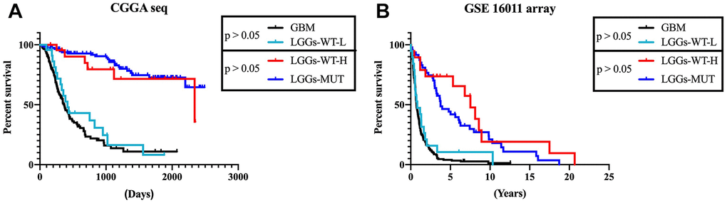 DZIP3 could stratify lower-grade IDH1-WT gliomas patients into IDH1-MUT-like and GBM-like groups. (A) CGGA RNA-seq cohort; (B) GSE 16011 array cohort.