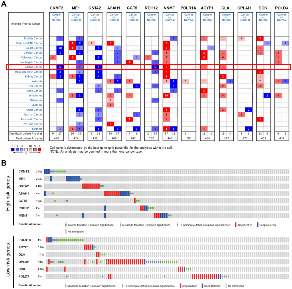 Genetic alterations of the PDEMRGs. (A) The expression profiles of the PDEMRGs in the Oncomine database. Red represents over-expressed; blue represents under-expressed. (B) Genetic alterations of the PDEMRGs from cBioportal for Cancer Genomics.