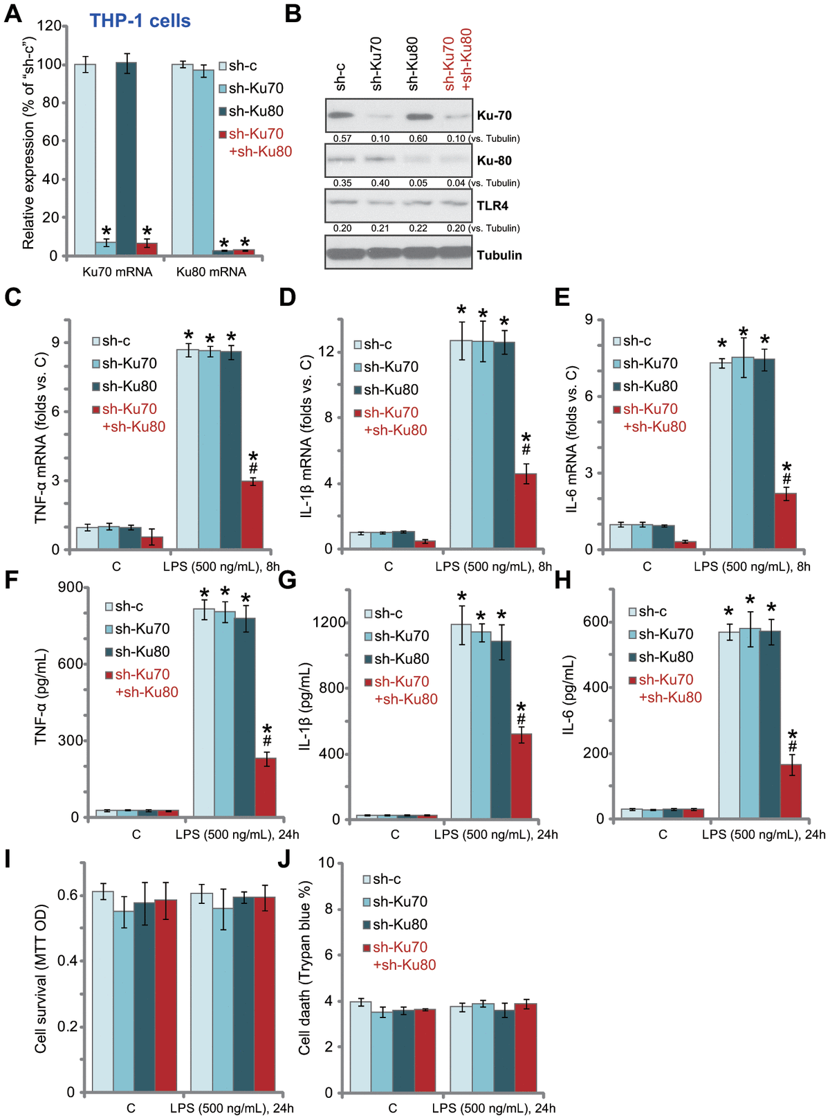 Ku70 And Ku80 Participate In LPS-induced Pro-inflammatory Cytokines ...