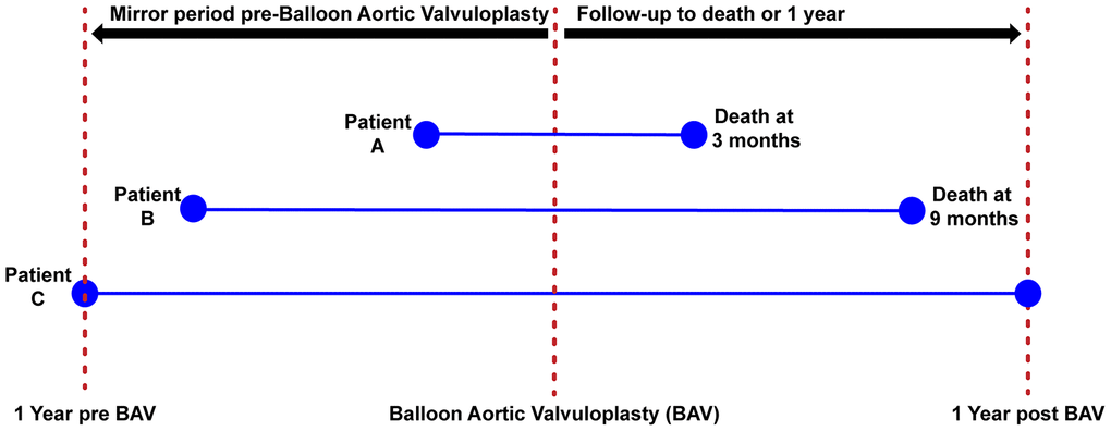 Mirror period for the evaluation of days of heart failure hospitalization. The figure is describing the method to assess the number of days of hospitalization before/after BAV. Patients 1 and 2 died before 1-year post BAV, thus the time period used to record the number of days of HF hospitalization was less than 1 year in these patients. Patient 3 survived more than 1 year, thus the entire year before BAV was used to collect number of days of HF hospitalization.