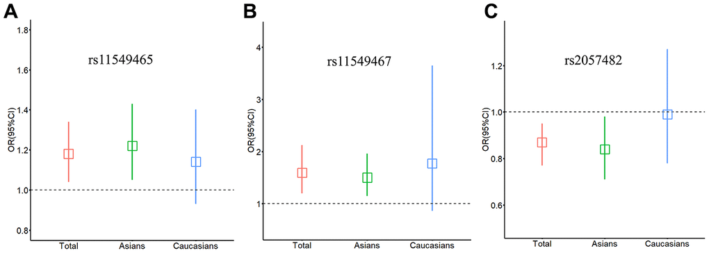 Relationship between HIF-1α SNPs and cancer risk stratified by ethnicity. (A) rs11549465; (B) rs11549467; (C) rs2057482. Squares represent the ORs and vertical lines represent the corresponding 95% CI.