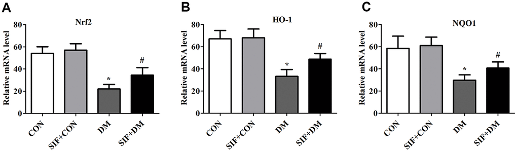 Effects of SIF on oxidative stress genes. Relative mRNA expression of Nrf2(A), HO-1(B) and NQO1(C) in the hippocampus. The results are shown as the mean ±standard deviation (n=5 per group). *p #p ##p 