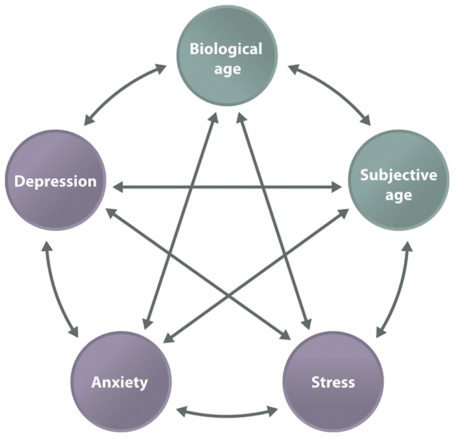 Psychological aging, depression, and well-being