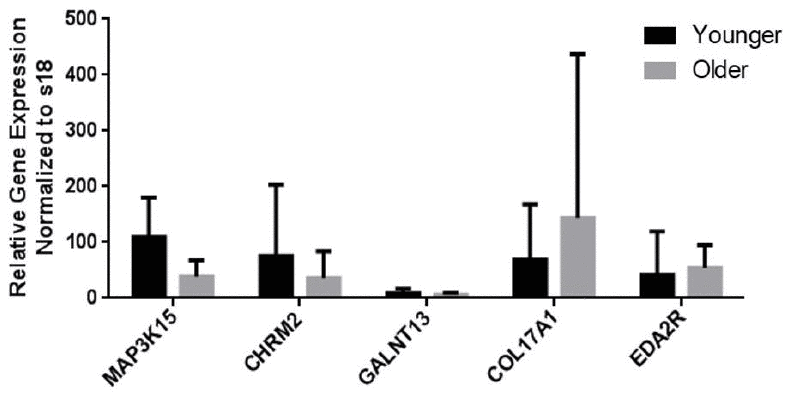 mRNA expression levels of genes as measured by qRT-PCR analysis. The levels of mRNA transcripts that encode aging-related marker genes are shown. Data are presented as the mean ± standard deviation (N = 32).