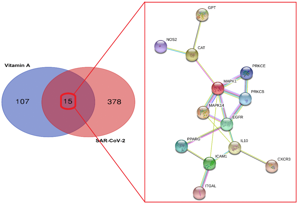 Identification of vitamin A and SARS-CoV-2 associated genes. Venn diagram showing the intersection targets of vitamin A against SARS-CoV-2 with an identified PPI network.