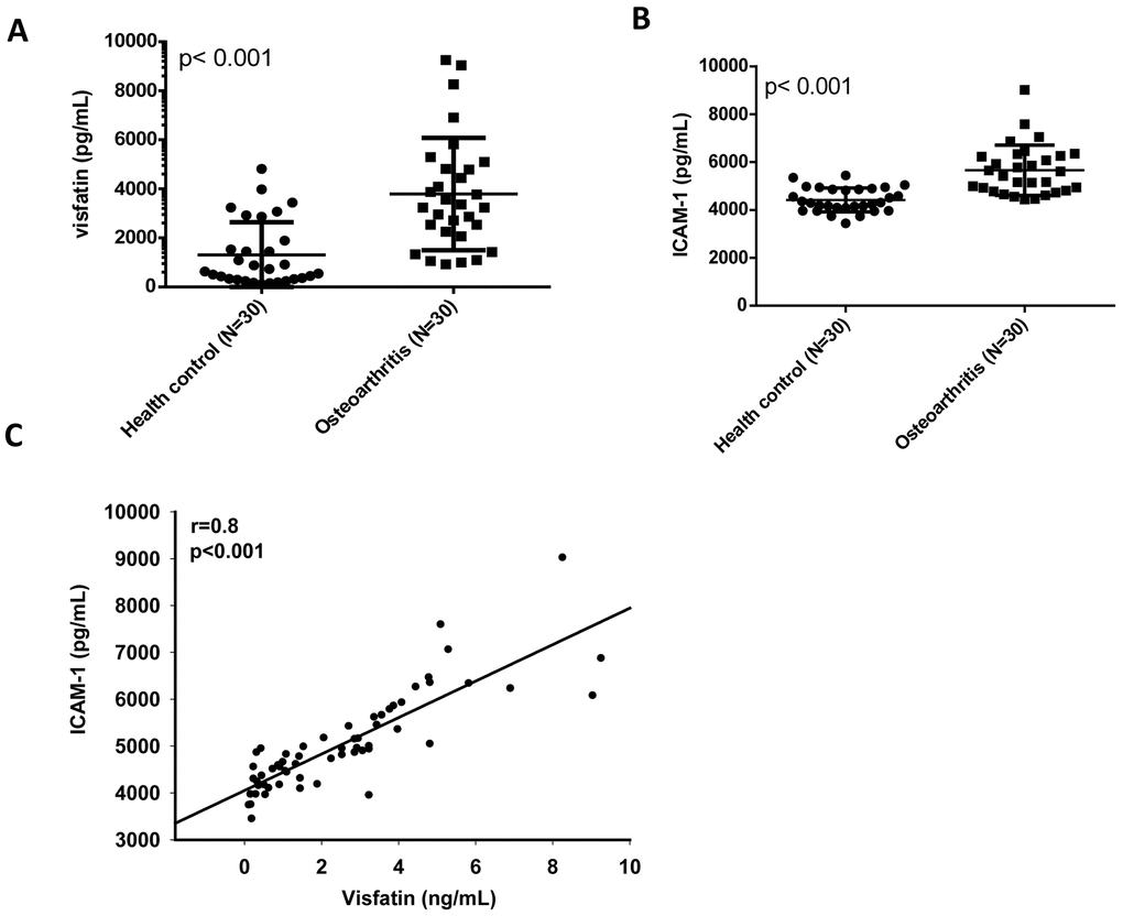 Visfatin expression is positively correlated with ICAM-1 expression in OA patients. (A, B) ELISA analysis showing higher serum visfatin and ICAM-1 levels among OA patients (n=30) compared with healthy controls (n=30). (C) Correlation between levels of visfatin and ICAM-1 expression in serum samples retrieved from OA patients. All ELISA procedures were independently repeated three times. Mann-Whitney testing was applied in (A, B).