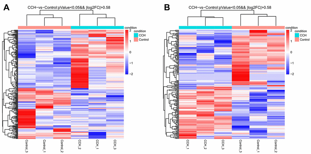 Heatmap of all differentially expressed mRNA (A) and lncRNA (B) in hippocampal tissues after chronic cerebral hypoperfusion. Each row represents one miRNA or lncRNA, and each column represents one hippocampal sample. Relative mRNA or lncRNA level is showed by the color scale. Red and blue colors respectively represent high and low relative expression level. The fold changes were normalized and scaled from-2.0 to 2.0 by Z-score.