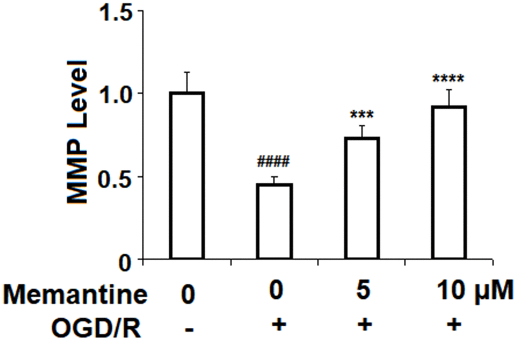 Memantine restored oxygen-glucose deprivation/reperfusion-induced reduction of mitochondrial membrane potential (ΔΨm) in human umbilical vein endothelial cells (HUVECs). Cells were treated with memantine (5, 10 μM) for 6 h, followed by exposure to oxygen-glucose deprivation (6 h)/reperfusion (24 h) (OGD/R). Intracellular ΔΨm was measured by rhodamine 123 (RH123) (####, P