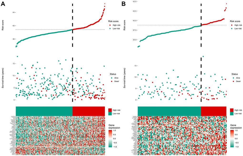 The distribution of the risk score, overall survival (OS), OS status, and heatmap of the 47-mRNA metastasis-related model in the discovery set (A) and validation set (B).