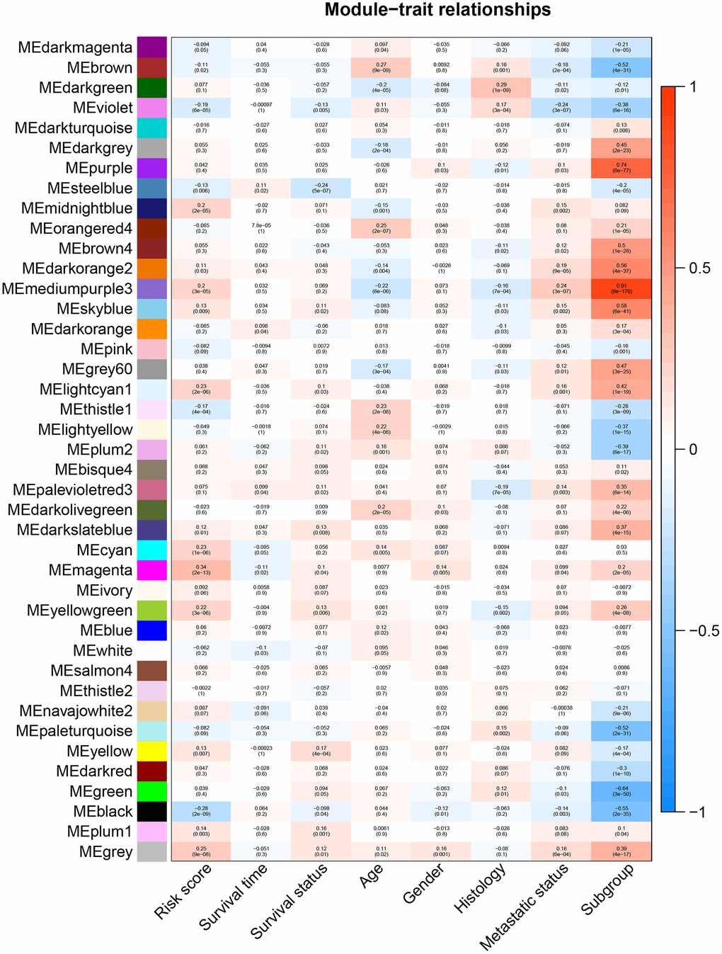 Heatmap of the correlation between gene modules and clinical traits of MB. Each row in the heatmap corresponds to a module, and each column in the heatmap corresponds to a specific clinical characteristic. Each cell contains the corresponding correlation coefficient and p-value.