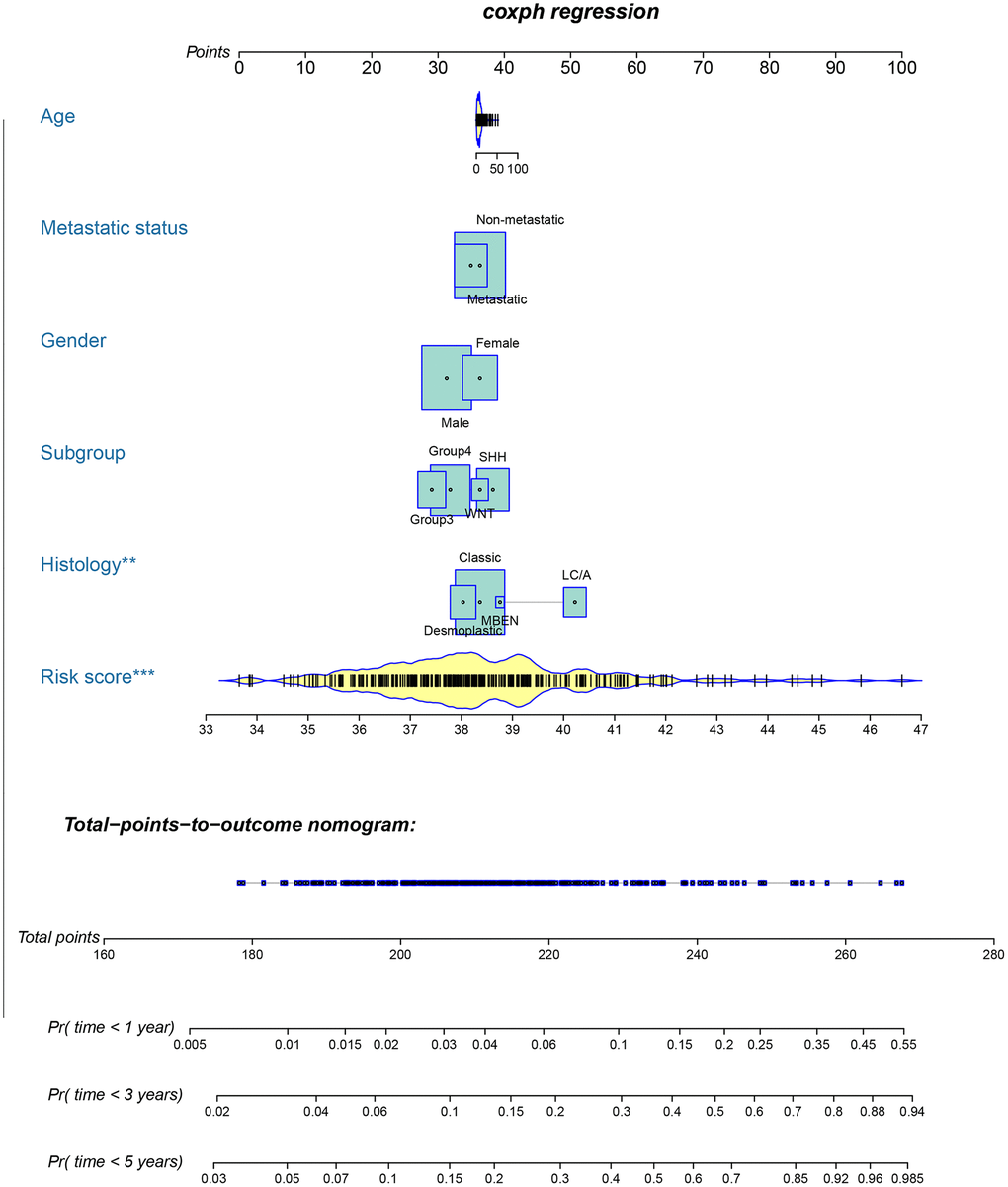 Nomogram for predicting 1-, 3-, and 5-year OS in patients with MB.